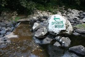 Bassin Bœuf