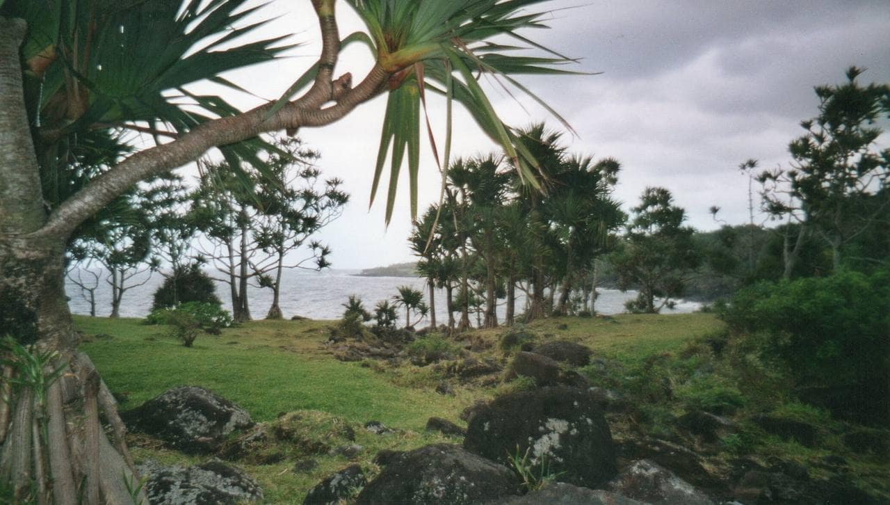 La côte au vent de l'Est, verte et gorgée d'eau