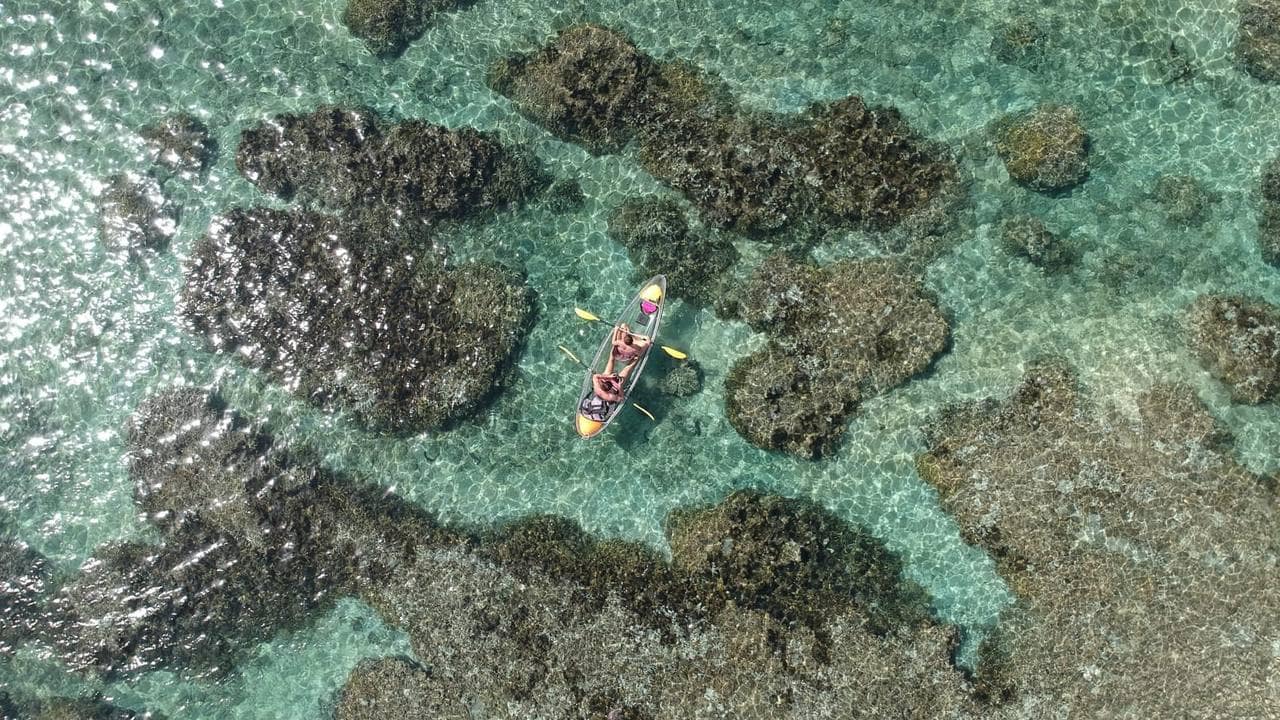 Kayak transparent au-dessus des fonds coralliens, lagon de Saint-Gilles