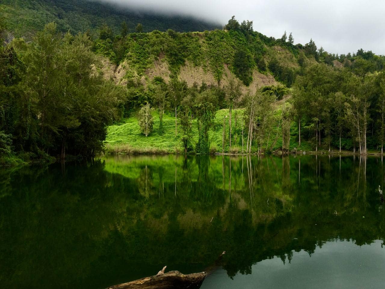 La Mare à Poule d'Eau