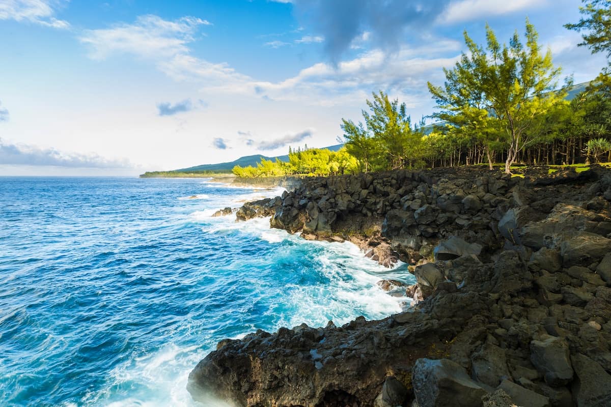 Observer les baleines