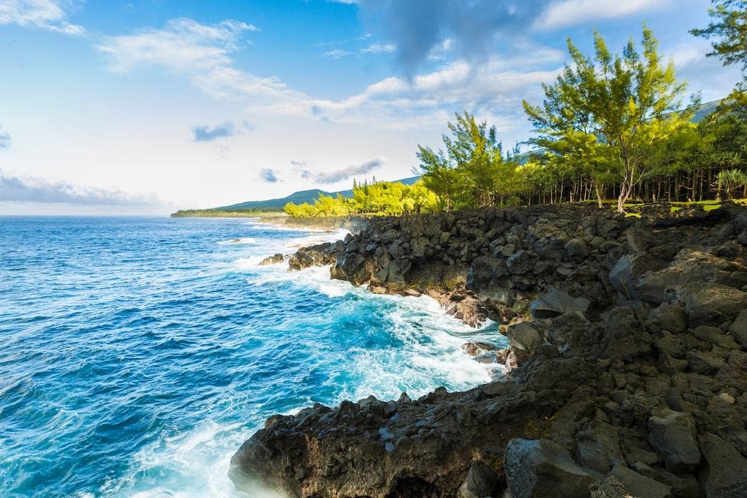 Le Sud sauvage en une journée