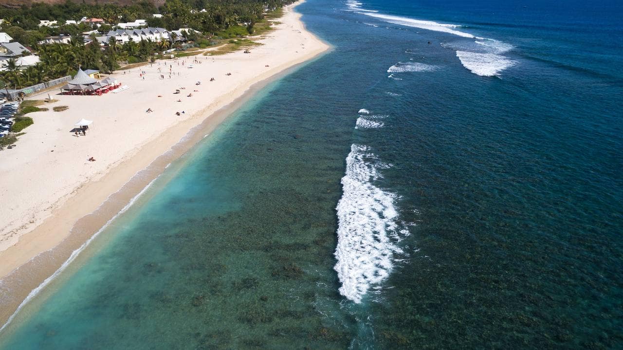 Le platier turquoise et la barrière de corail