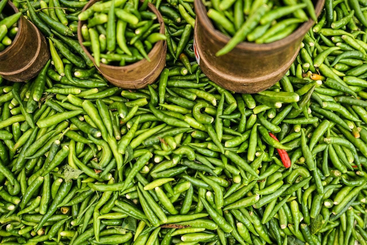 Piments verts au marché forain de Saint-Pierre, le samedi matin