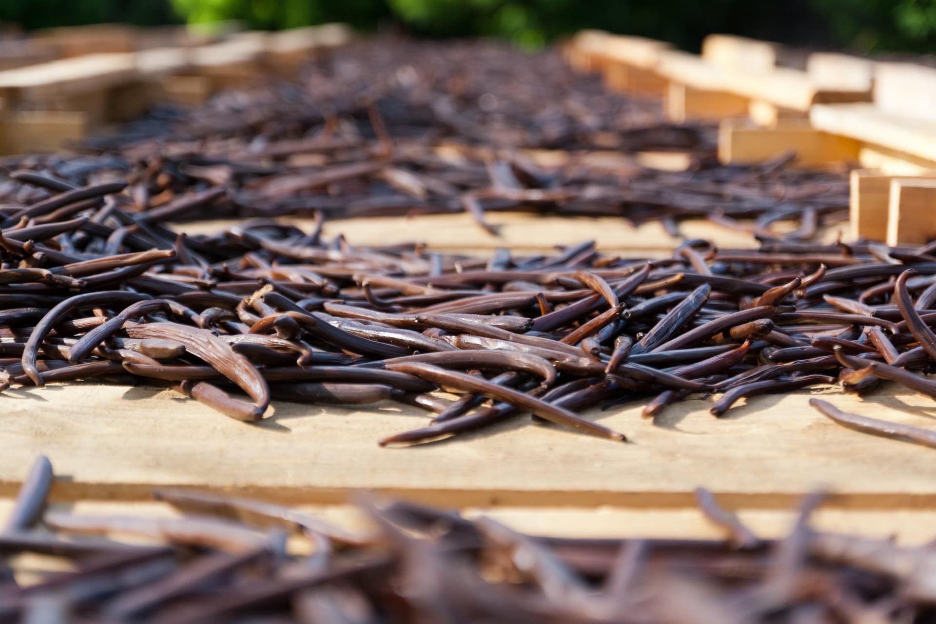 Produits péi : rhum arrangé, vanille Bourbon, café Bourbon pointu, où les acheter